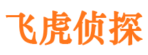 临汾找人公司